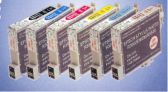 Epson Compatible InkJet Cartridge T0491 Bundle